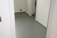 Vlkys-Spidlen-3